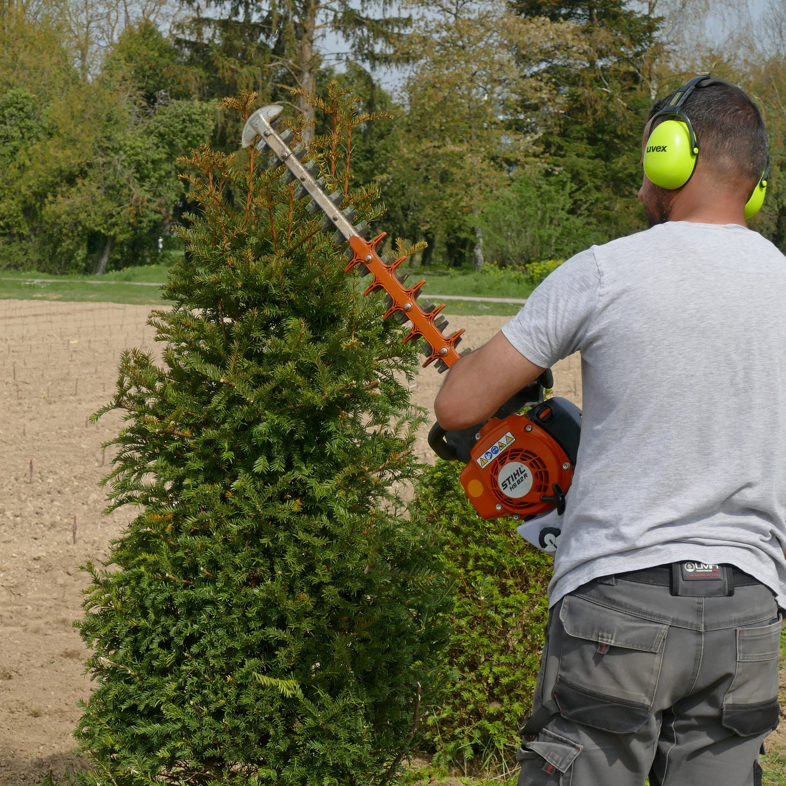 Taille haie Label Espaces Verts