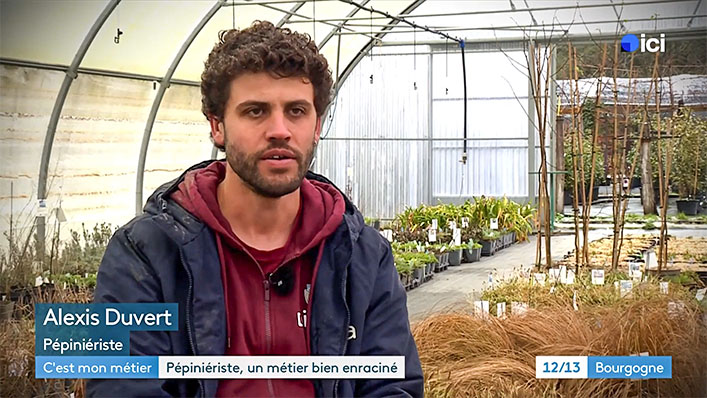 C'est mon métier : Pépiniériste - France 3 Bourgogne