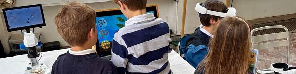 Animations sur le stand&nbsp;: Mycorhize et vie du sol