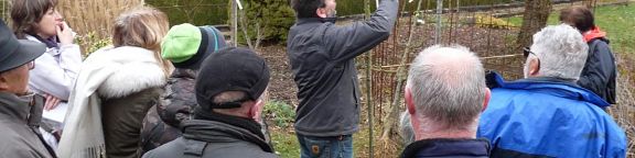 Formation de taille