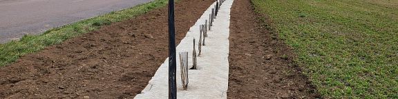 Plantation de haie bocagère