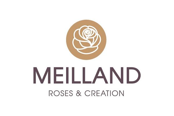Rosiers Meilland International&nbsp;: l’histoire d’un savoir-faire d’exception