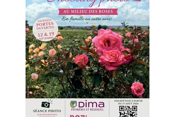 Shooting photo au milieu des roses