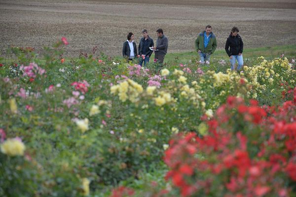 La journée technique - Les Samedis de la Rose