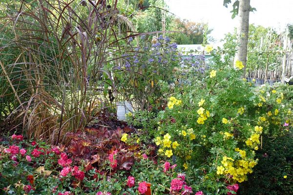 Portes ouvertes : Tout est beau, tout est fleuri !