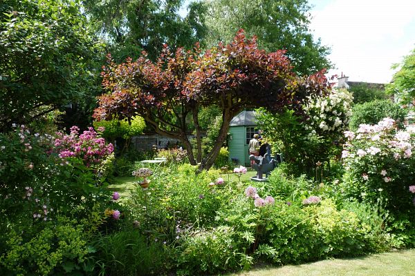 Balade printanière, tout est beau, tout est fleuri !