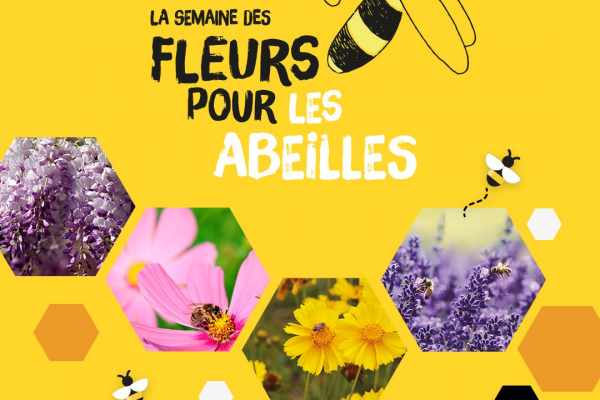 La semaine des fleurs pour les abeilles