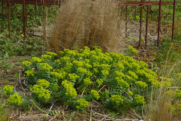 Engrais et fertilisants