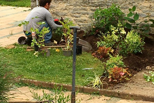 Service plantation - Aide à la conception de votre jardin